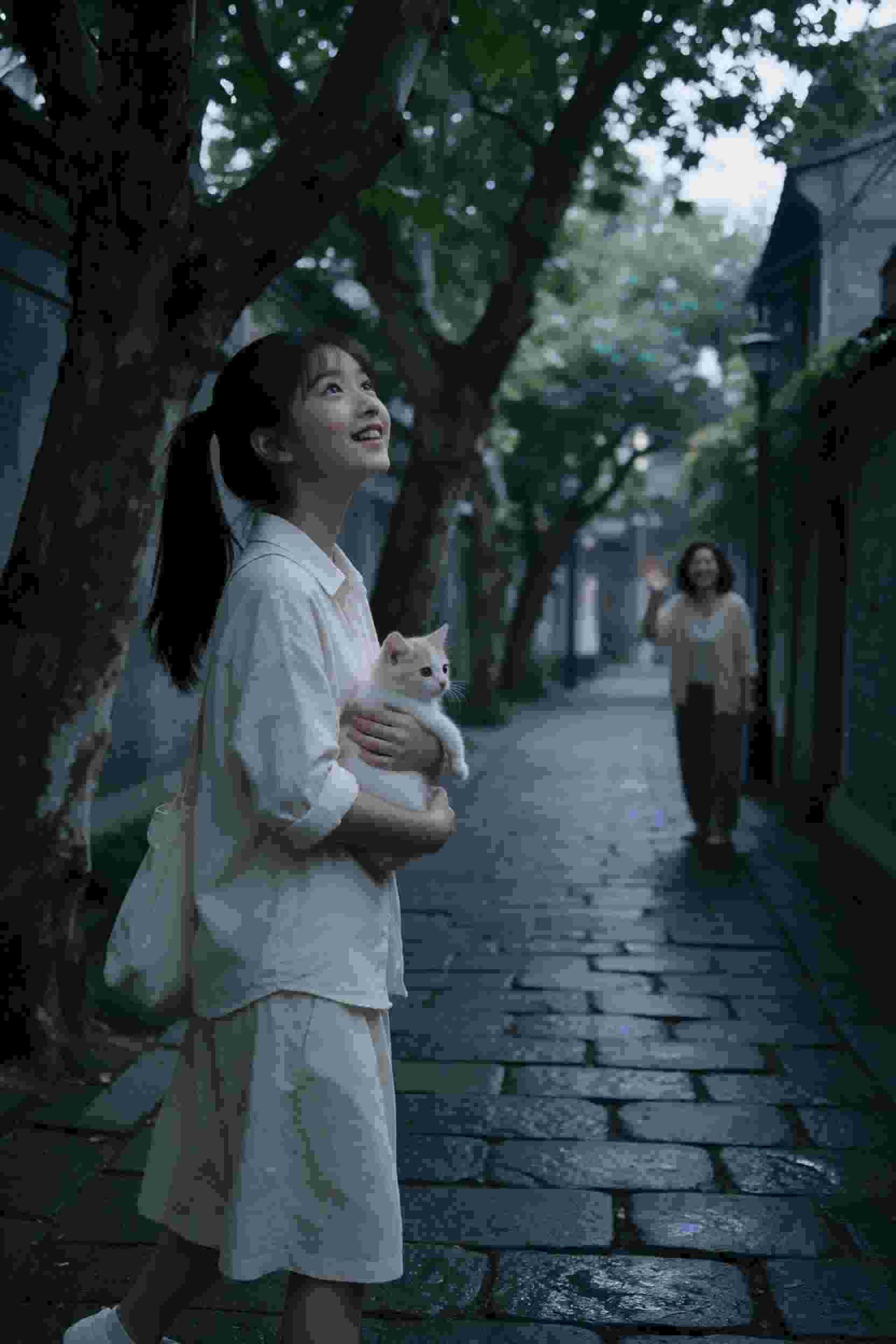 我的17岁
